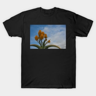 Orange Cactus T-Shirt